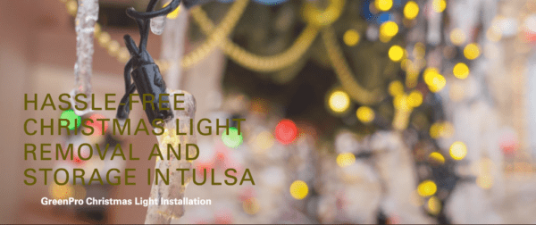 Christmas Light Removal And Storage In Tulsa